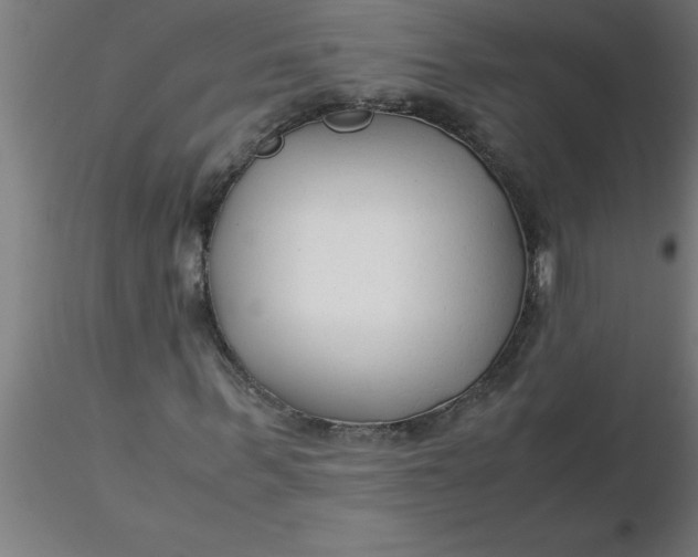 X0000116370963200912231312