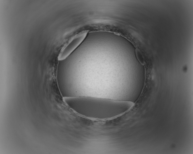 X0000116370965200912231312