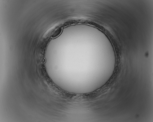 X0000116370967200912231312