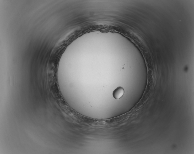 X0000116370968200912231312