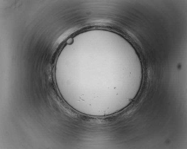 X0000116370970200912231312