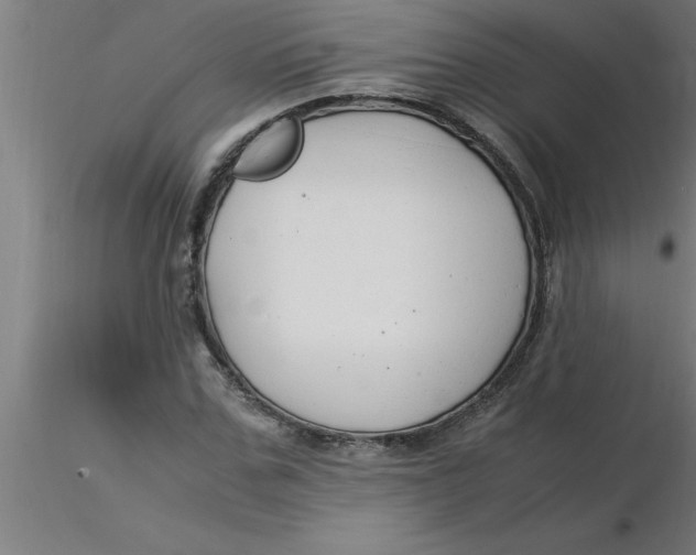 X0000116370971200912231312