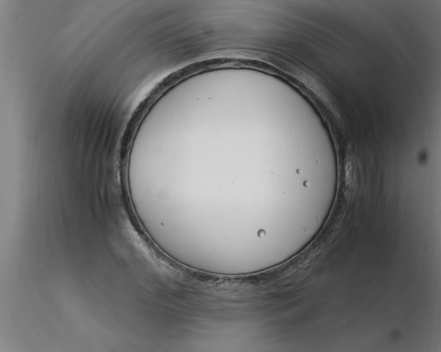 X0000116370972200912231312