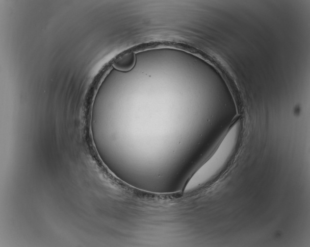 X0000116370975200912231312