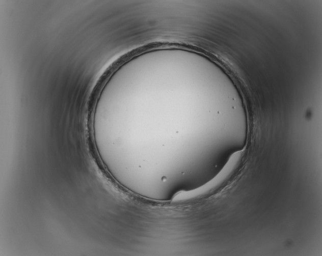 X0000116370976200912231312