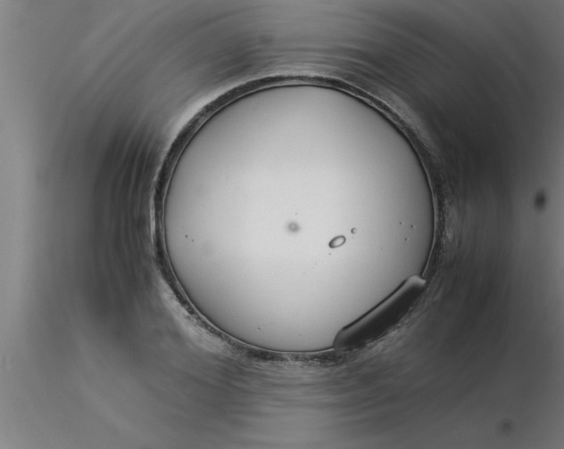 X0000116370980200912231312