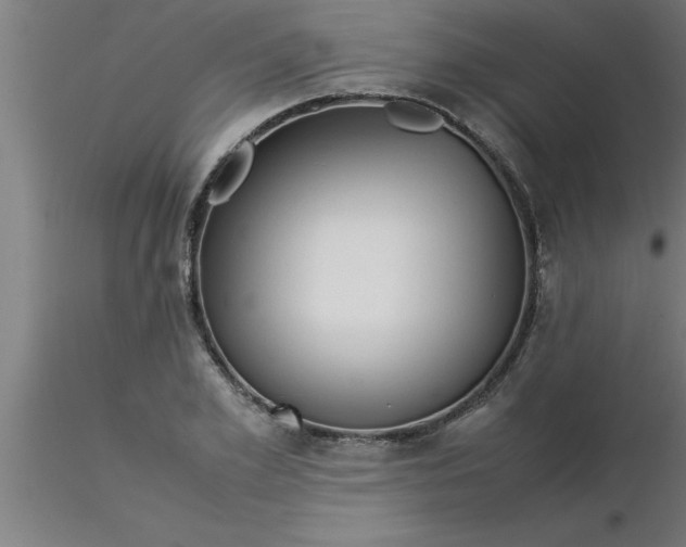 X0000116370981200912231312