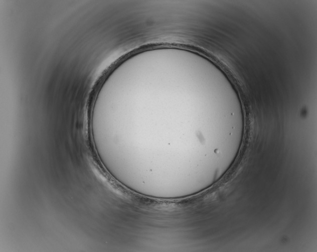 X0000116370982200912231312