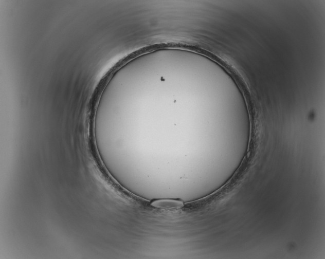 X0000116370983200912231312