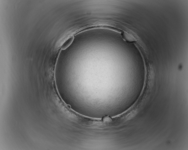 X0000116370985200912231312