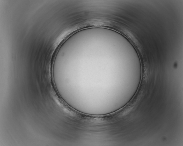 X0000116370986200912231312