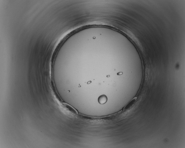 X0000116370988200912231312