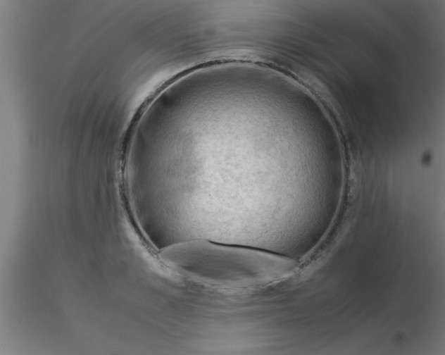 X0000116370989200912231312