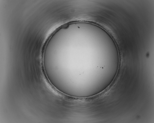 X0000116370990200912231312