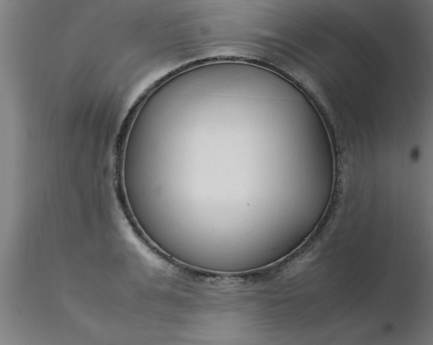 X0000116370991200912231312