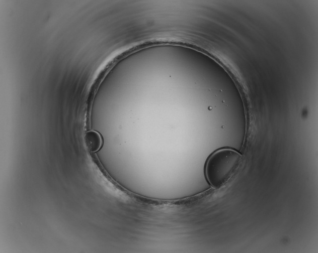 X0000116370992200912231312