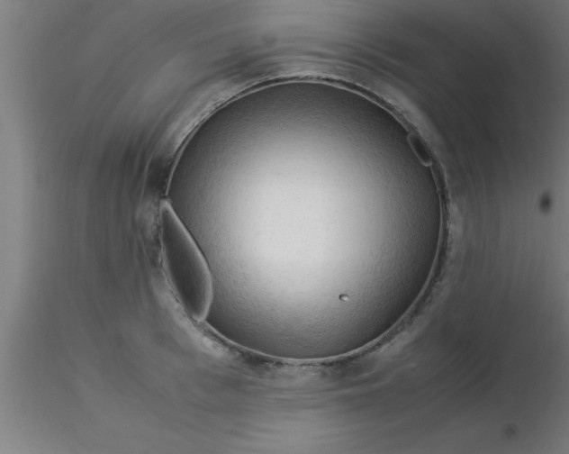 X0000116370993200912231312