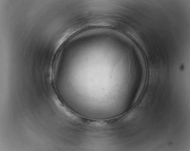 X0000116370994200912231312