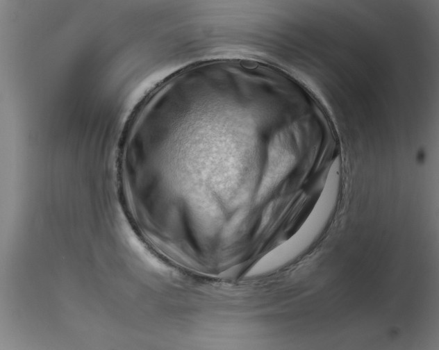 X0000116370995200912231312