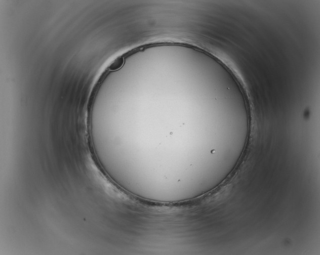 X0000116370996200912231312