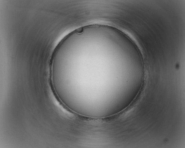 X0000116370999200912231312