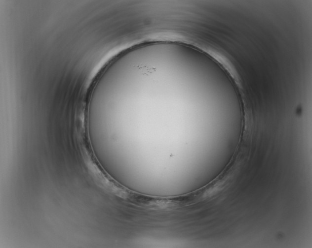 X0000116371000200912231312