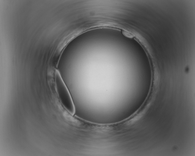 X0000116371001200912231312