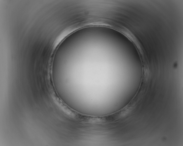 X0000116371002200912231312