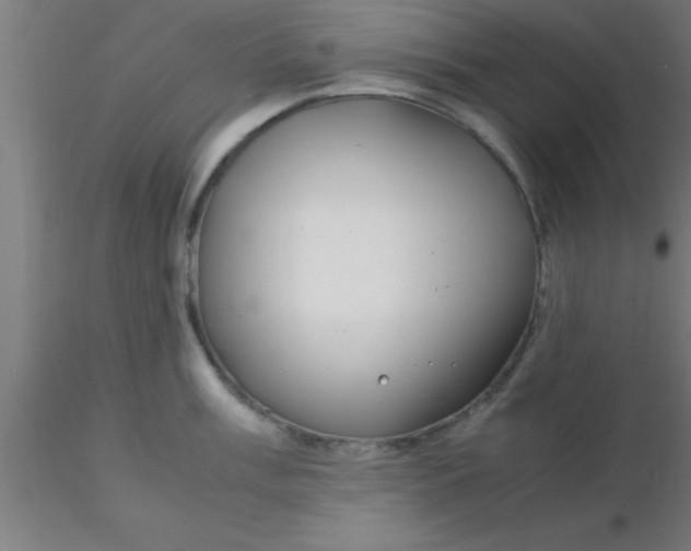 X0000116371003200912231312