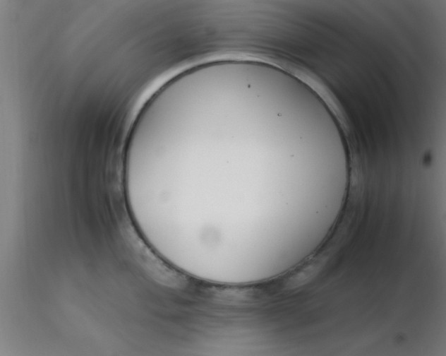 X0000116371004200912231312