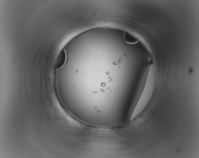 X0000116371007200912231312