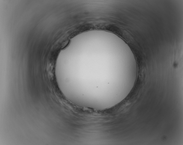 X0000116371010200912231311