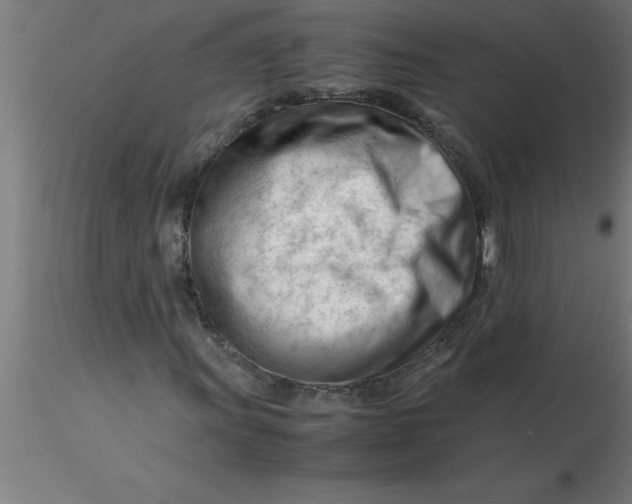 X0000116371011200912231311