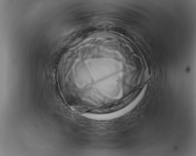 X0000116371013200912231311