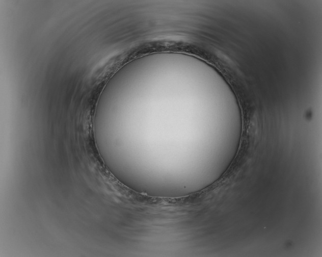 X0000116371014200912231311