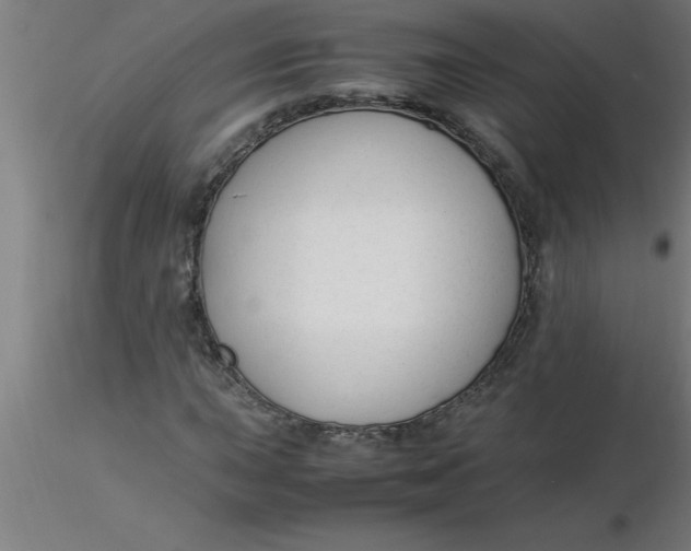 X0000116371015200912231311