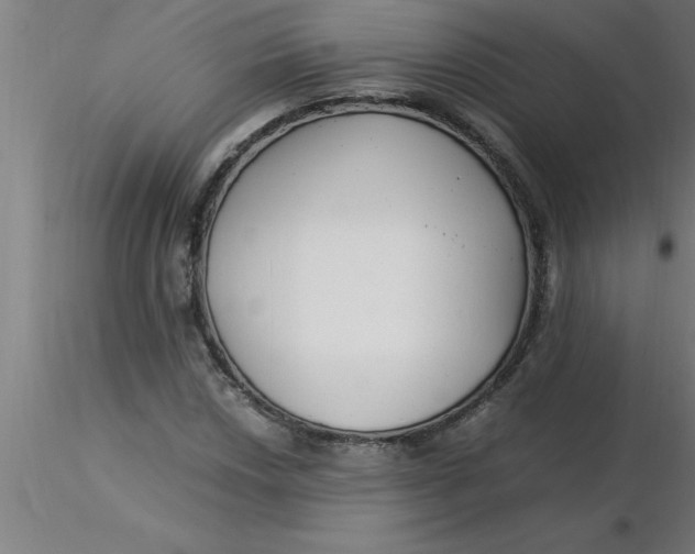 X0000116371018200912231311