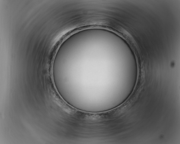 X0000116371019200912231311