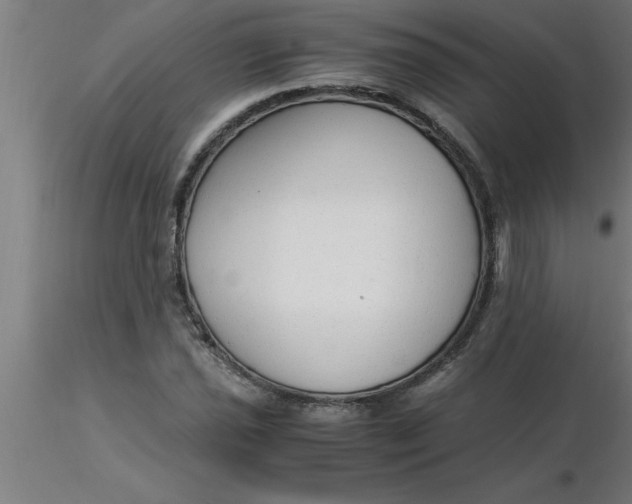 X0000116371021200912231311