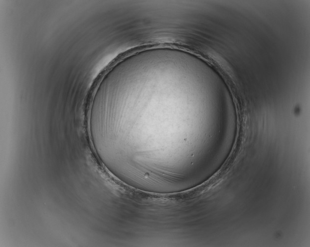 X0000116371023200912231311