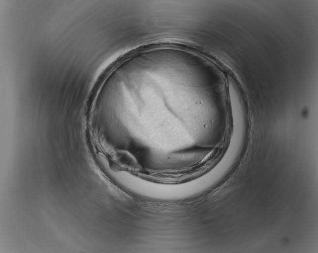 X0000116371024200912231311