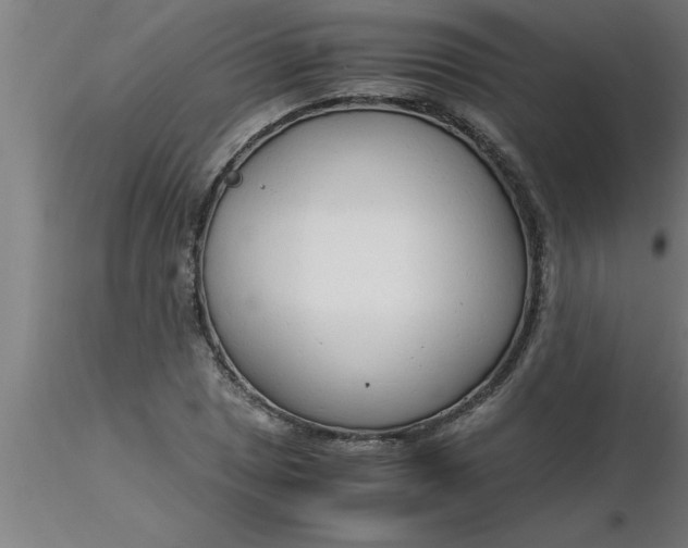 X0000116371025200912231311