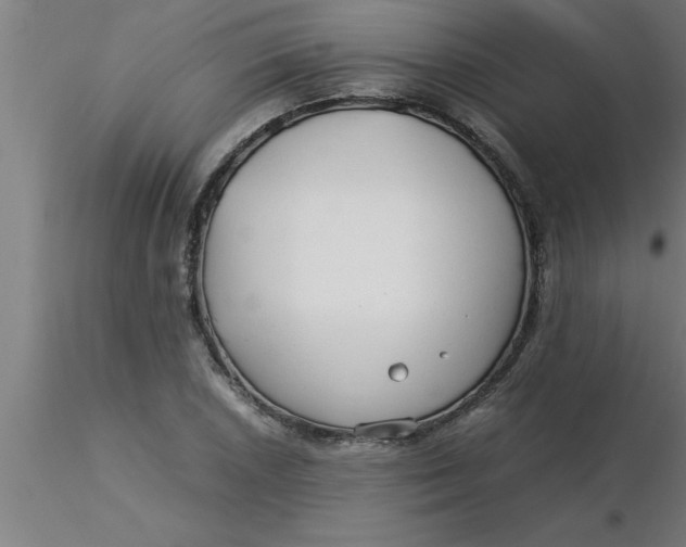 X0000116371026200912231311