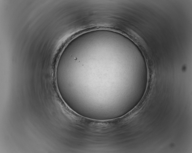 X0000116371027200912231311