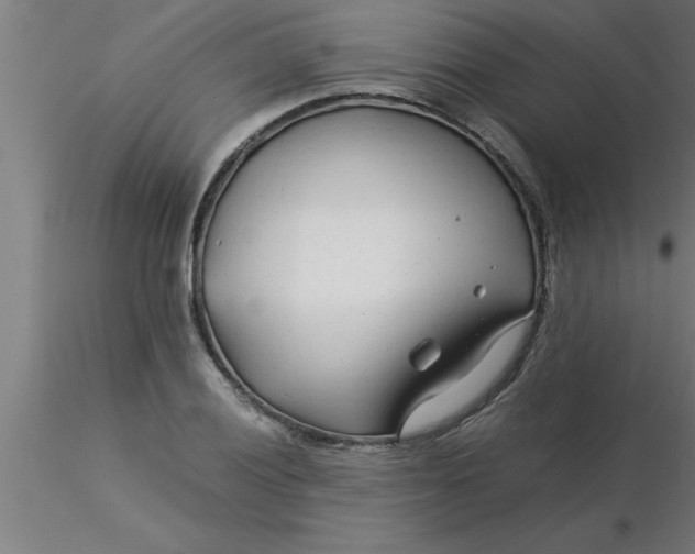 X0000116371028200912231311