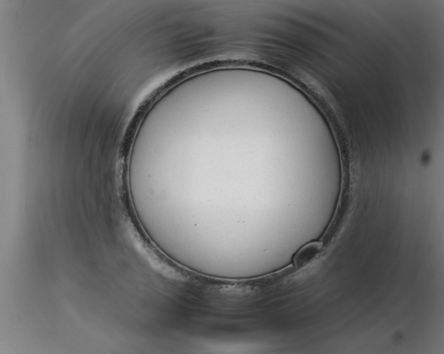 X0000116371029200912231311