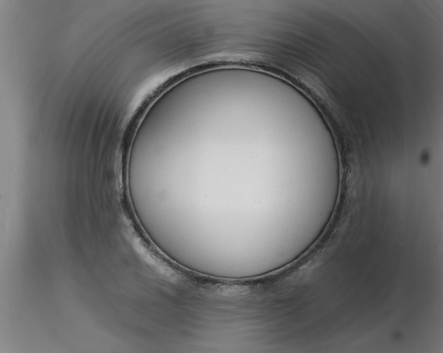 X0000116371030200912231311