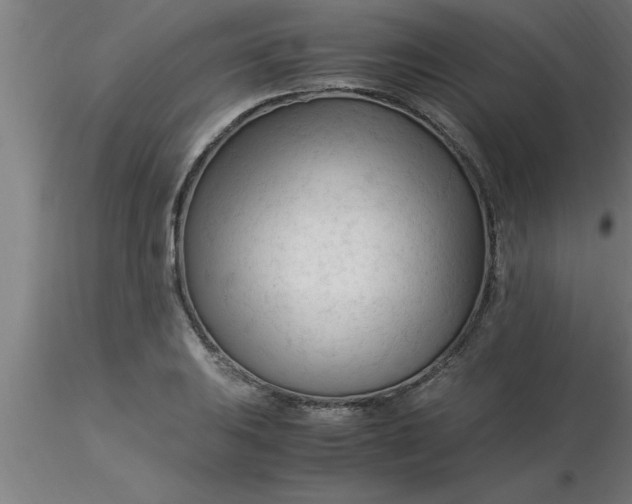 X0000116371031200912231311