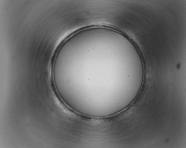 X0000116371032200912231311