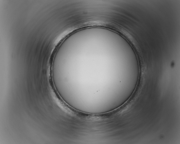 X0000116371034200912231311